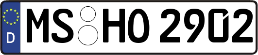 MS-HO2902
