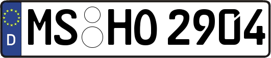 MS-HO2904