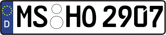 MS-HO2907