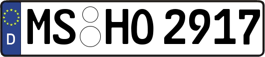 MS-HO2917