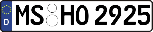 MS-HO2925