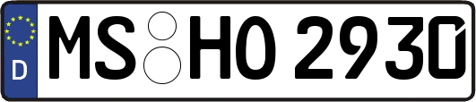 MS-HO2930