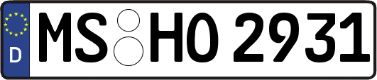 MS-HO2931
