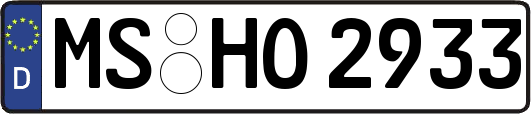 MS-HO2933