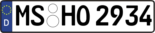 MS-HO2934