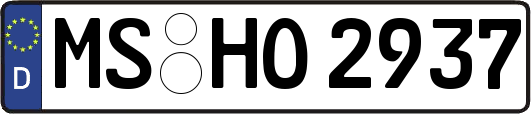 MS-HO2937