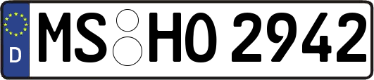 MS-HO2942