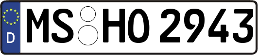 MS-HO2943