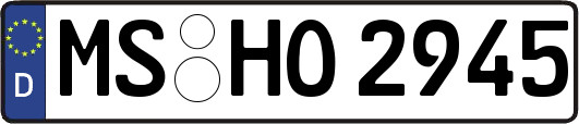 MS-HO2945