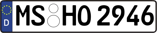 MS-HO2946
