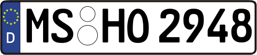 MS-HO2948