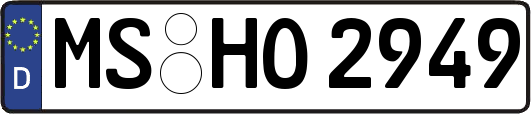 MS-HO2949