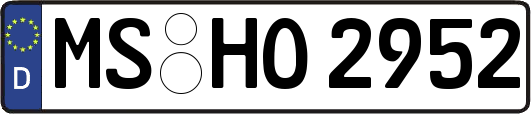 MS-HO2952