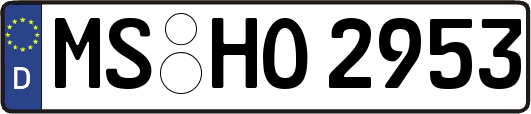 MS-HO2953