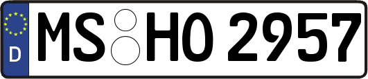 MS-HO2957