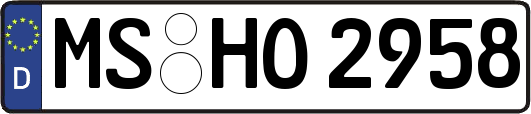 MS-HO2958