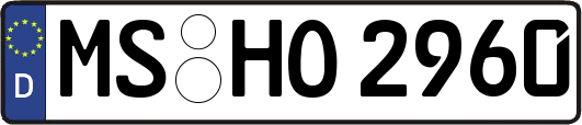 MS-HO2960