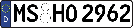 MS-HO2962