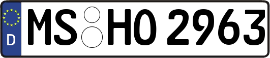 MS-HO2963