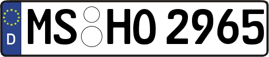 MS-HO2965
