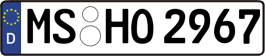 MS-HO2967