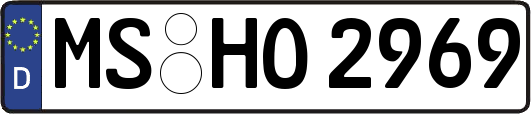 MS-HO2969