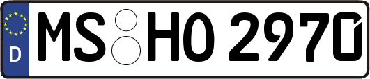 MS-HO2970