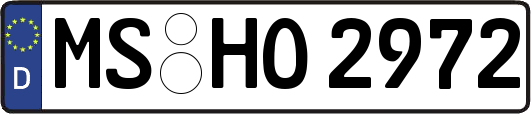 MS-HO2972