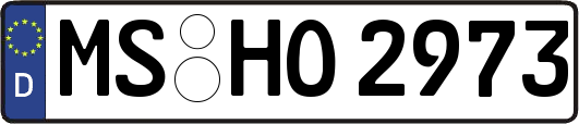 MS-HO2973