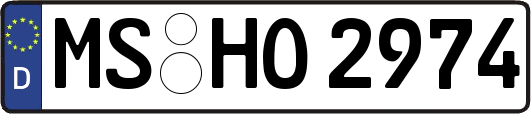 MS-HO2974