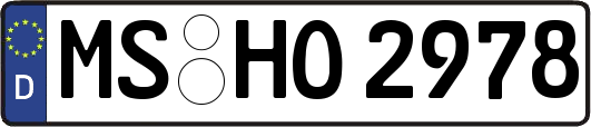 MS-HO2978