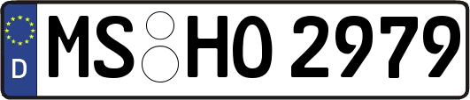 MS-HO2979