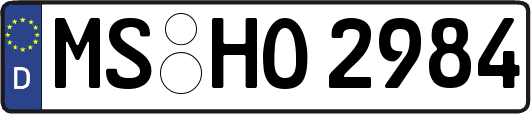 MS-HO2984