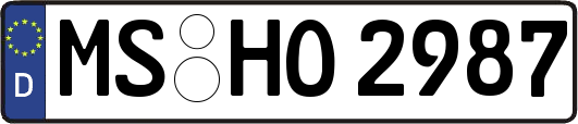 MS-HO2987