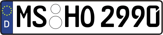 MS-HO2990