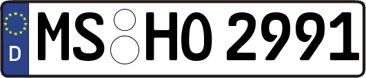 MS-HO2991