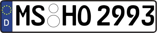 MS-HO2993