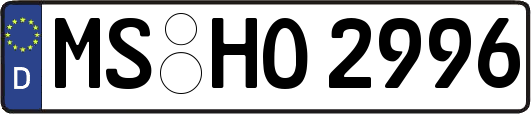 MS-HO2996