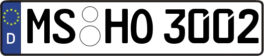 MS-HO3002