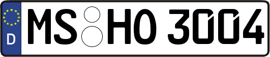 MS-HO3004