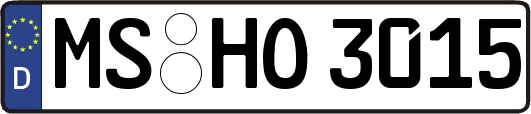 MS-HO3015