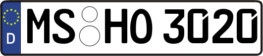 MS-HO3020