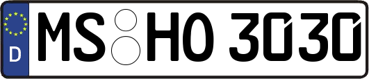MS-HO3030