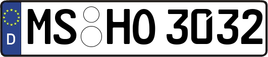 MS-HO3032