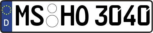 MS-HO3040