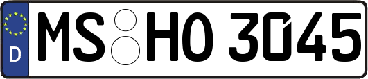 MS-HO3045