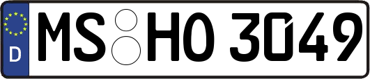 MS-HO3049