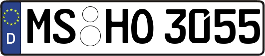 MS-HO3055