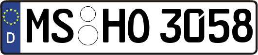 MS-HO3058