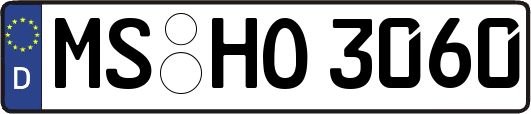 MS-HO3060